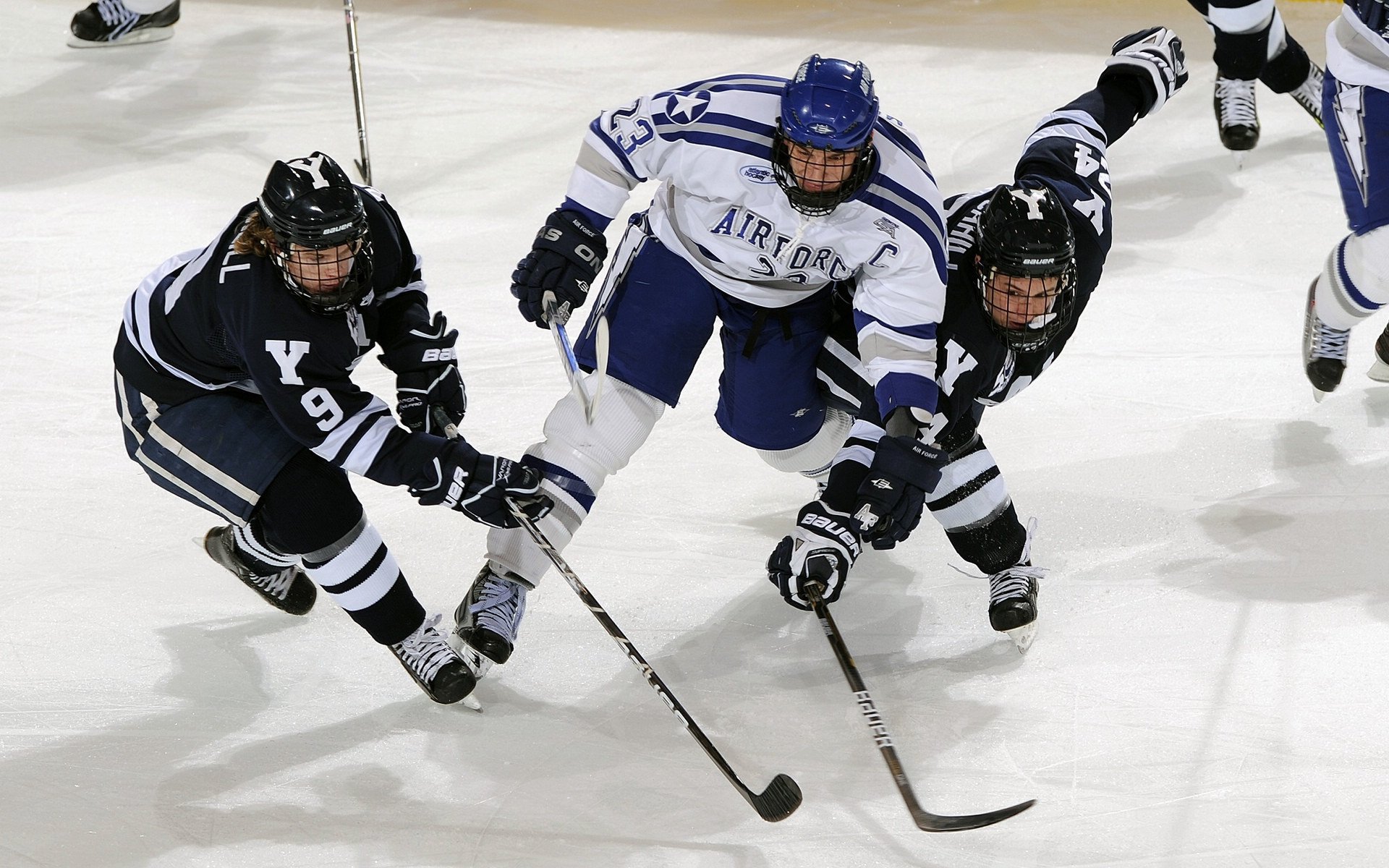 体育明星参与体育公益创新项目推广，体育明星公益活动